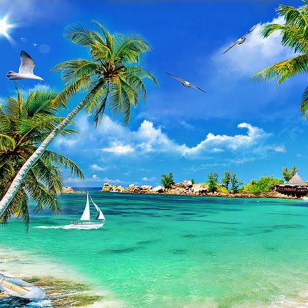 🌴🐳🐙🌴🐳🐙🌴🐳🐙🌴🐳🐙🌴🐳🐙🌴 - Picture 9 of 9